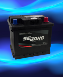 SMF Battery